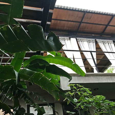 La Flor Casa Boutique Panzió Valladolid Kültér fotó